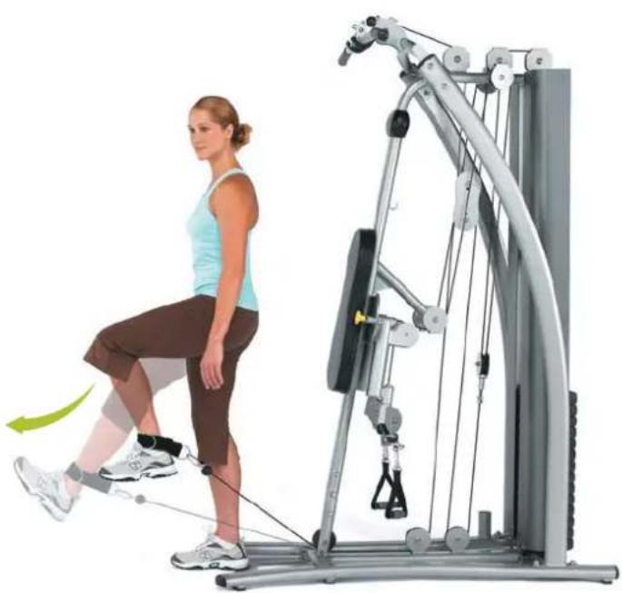 Horizon Fitness Torus 4 - Beinstrecker - 1