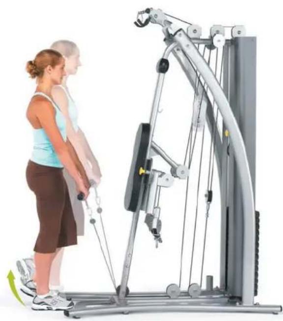 Horizon Fitness Torus 4 - Wadenkräftigung - 1