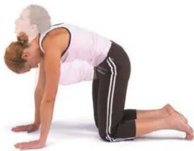 Horizon Fitness Torus 4 - Warm-up - 1