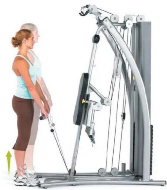 Horizon Fitness Torus 4 - Core Quad Extension - 1