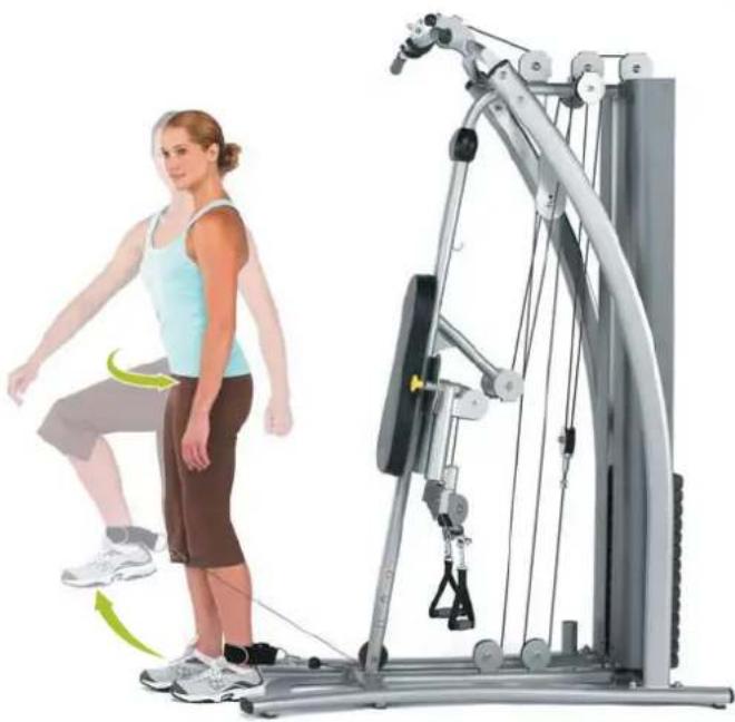 Horizon Fitness Torus 4 - Bicepscurl, stehend - 2