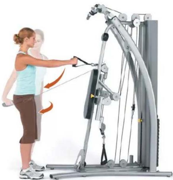 Horizon Fitness Torus 4 - Radiale Armzüge in Position - 2