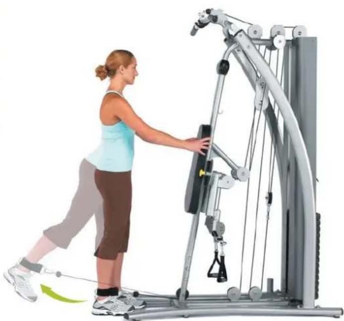 Horizon Fitness Torus 4 - Beinadduktion - 1