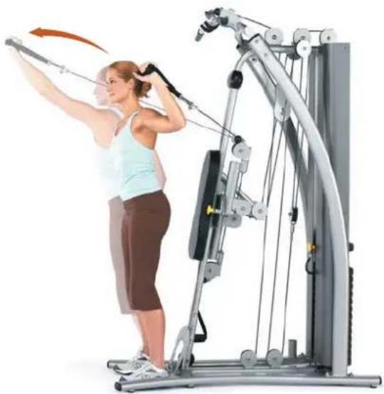Horizon Fitness Torus 4 - Radiale Armzüge in Position - 2
