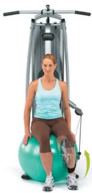 Horizon Fitness Torus 4 - Beinstrecker, stehend - 1