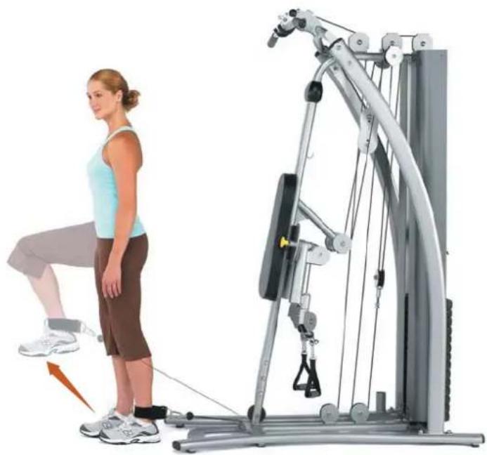 Horizon Fitness Torus 4 - Power Cycle - 1