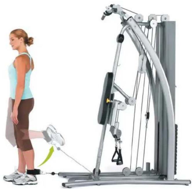 Horizon Fitness Torus 4 - Beinbeuger, kniend - 1