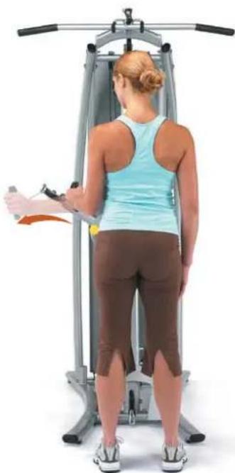 Horizon Fitness Torus 4 - Radialarme in Position - 2