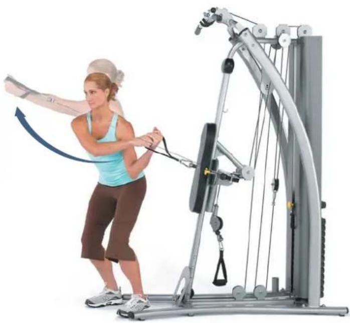 Horizon Fitness Torus 4 - Radiale Armzüge in Position 2 - 1