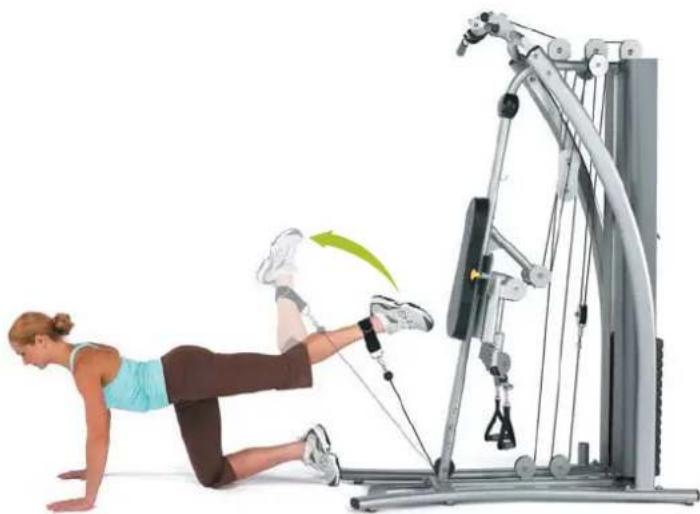 Horizon Fitness Torus 4 - Knieheber - 1