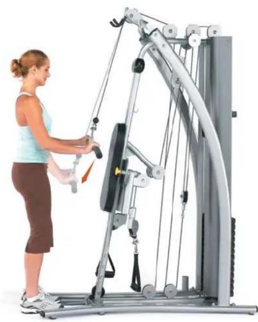 Horizon Fitness Torus 4 - Armstrecker, rückwärts - 2