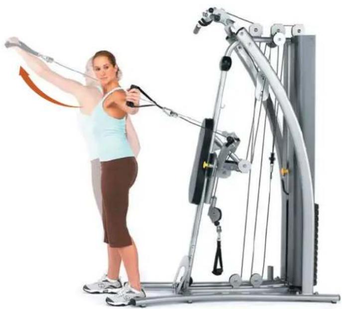 Horizon Fitness Torus 4 - Radiale Armzüge in Position - 2