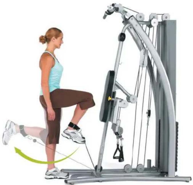 Horizon Fitness Torus 4 - Quick Turn - 1