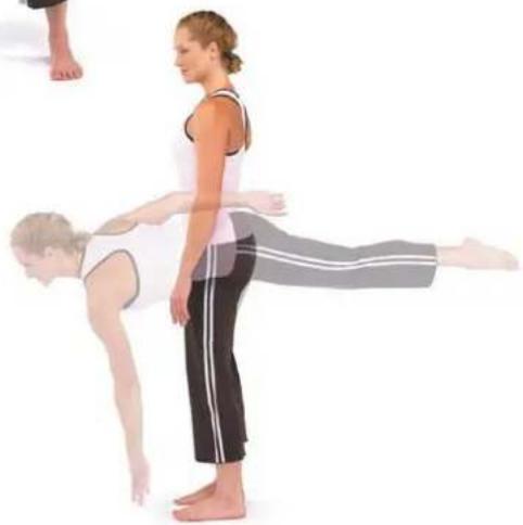 Horizon Fitness Torus 4 - Standing Twist - 1