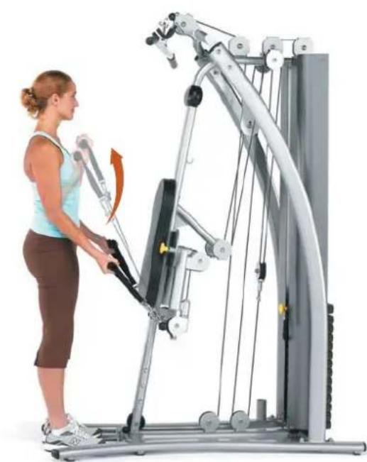 Horizon Fitness Torus 4 - Außenrotatoren, stehend - 2