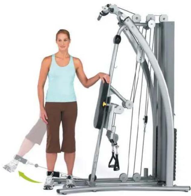 Horizon Fitness Torus 4 - Kniebeuger - 1