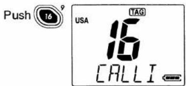 Push 16° USA TAG 16 CALLI