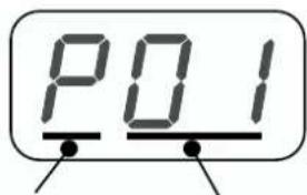 P01