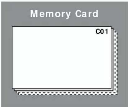 Memory Card C01