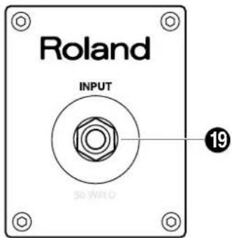 Roland INPUT 19 50 W/10