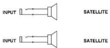 INPUT SATELLITE INPUT SATELLITE