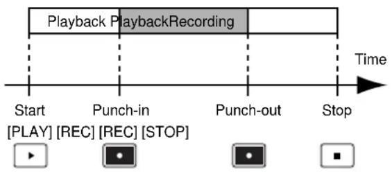 ROLAND CDX-1 - —Punch-in/ out - 1