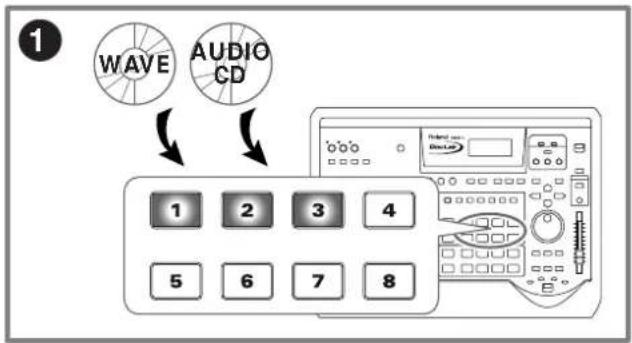 ROLAND CDX-1 - Path 2 - 1