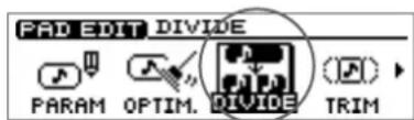 PAD EDIT DIVIDE PARAM OPTIM. DIVIDE TRIM