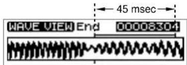 WAVE VIEW End 00008304 ← 45 msec →