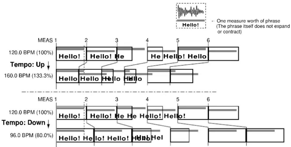 ROLAND CDX-1 - The Relationship Between Sequences and Phrases - 1