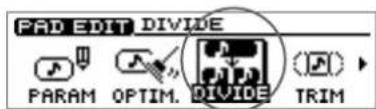 PAD EDIT DIVIDE PARAM OPTIM. DIVIDE TRIM
