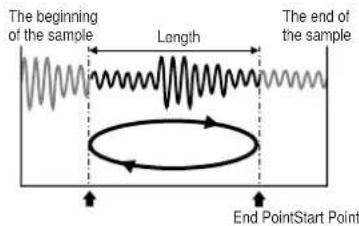 The beginning of the sample Length The end of the sample End PointStart Point