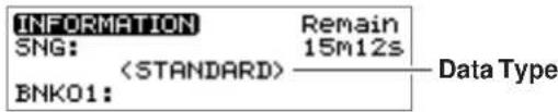 INFORMATION SNG: BNK01: Remain 15m12s Data Type