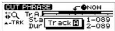ROLAND CDX-1 - Cutting a phrase—Cut - 4