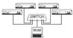 SENNHEISER SR 300 - Network operation using the WSM - 1