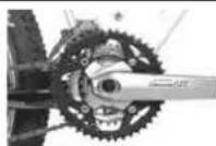 IDEAL Stage - 2