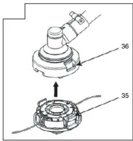 36 35
