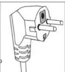 Line drawing of a plug with two terminals and a screw socket (no text or symbols)