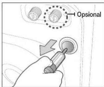 Optional