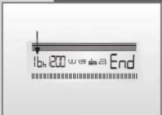 16h 200 w/8/82 End