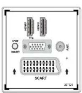 EPDF VSA ANT SCART 227123
