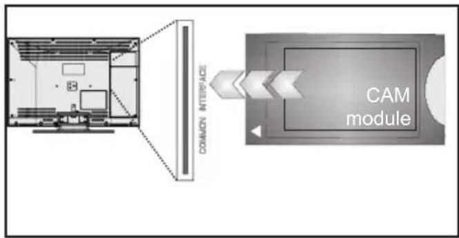 Finlux 32FLKR185D - Brug af et modul til betinget adgang - 2