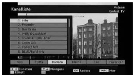 Kanallista Antenn Endest TV 1. arte 2. Phoenix 3. Das Erste 4. WDR Bluesdorl 5. ColoBat 100/-6dB 6. Codec4:3 7. Codec16:3 8. BLUD/Left1kHz Villi Flytta Radera Name Labs Faviterer Funktion Navigers OK Raders BINFO Mer Elnsett