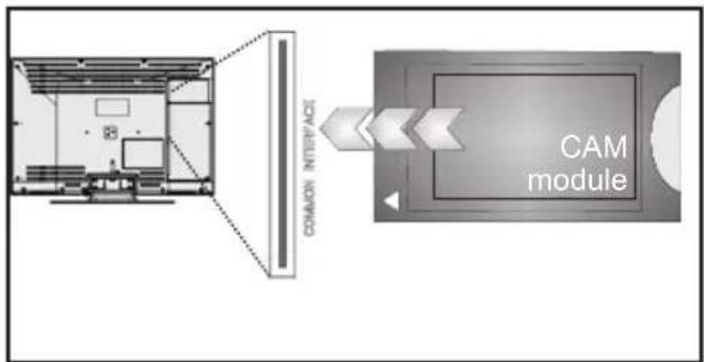 Luxor LED32NNB - Brug af et modul til betinget adgang - 2