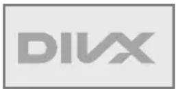 GRUNDIG GDP 5500 - Lisans koşulları - 2