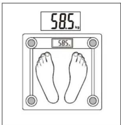 58.5 kg 585.