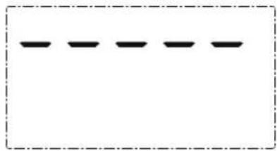 WILFA Kilo Solar PS-10BS - Indication message - 2