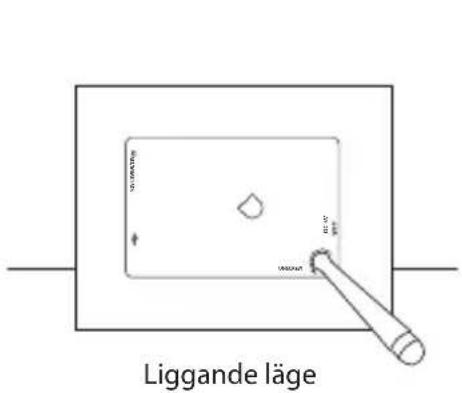 Liggande läge