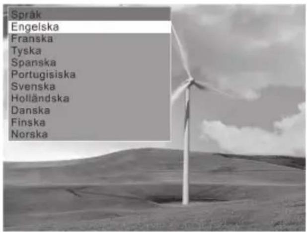 Språk Engelska Franska Tyska Spanska Portugisiska Svenska Holländska Danska Finska Norska