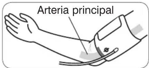 HOMEDICS BPA-201 - Muy importante: - 8
